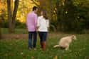 Engaging Engagement Photo on Random Hilarious Pets Ruined Family Photos