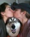 Kiss The Girl on Random Hilarious Pets Ruined Family Photos