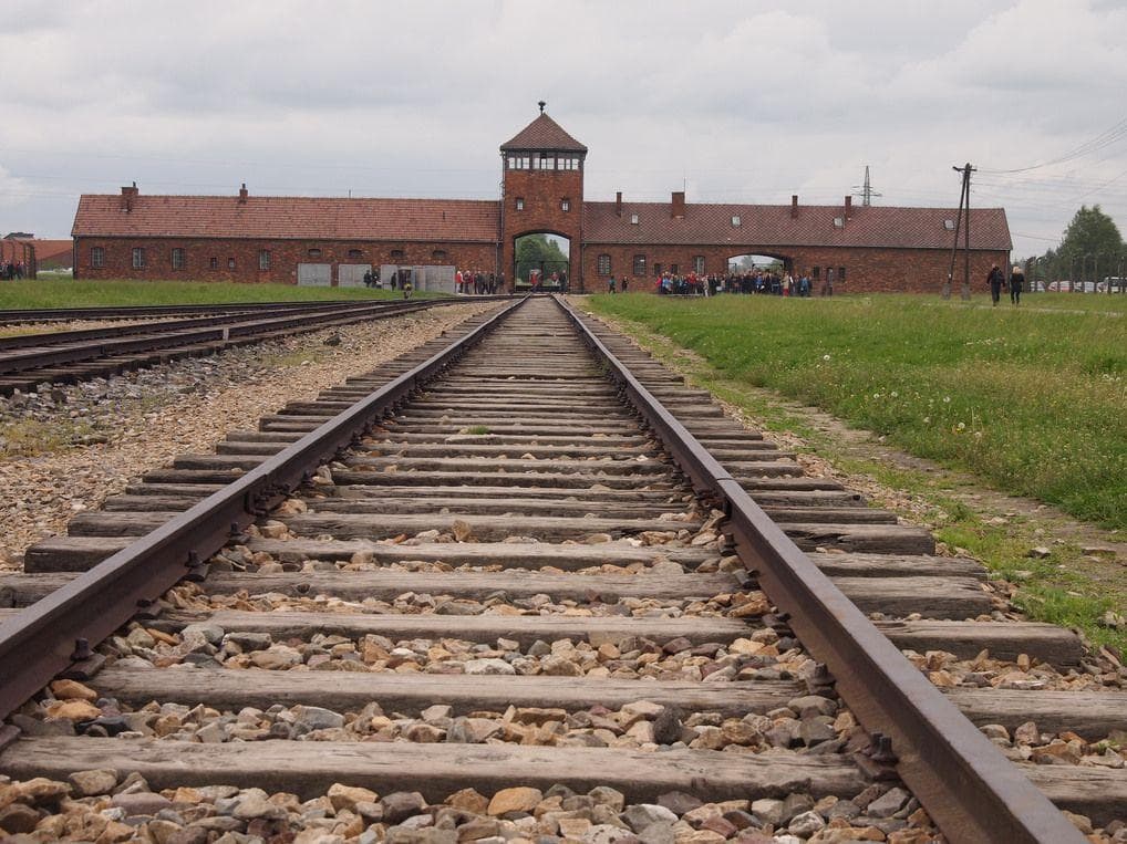 Random Holocaust Survivors Tell Haunting Stories Of Life In Concentration Camps