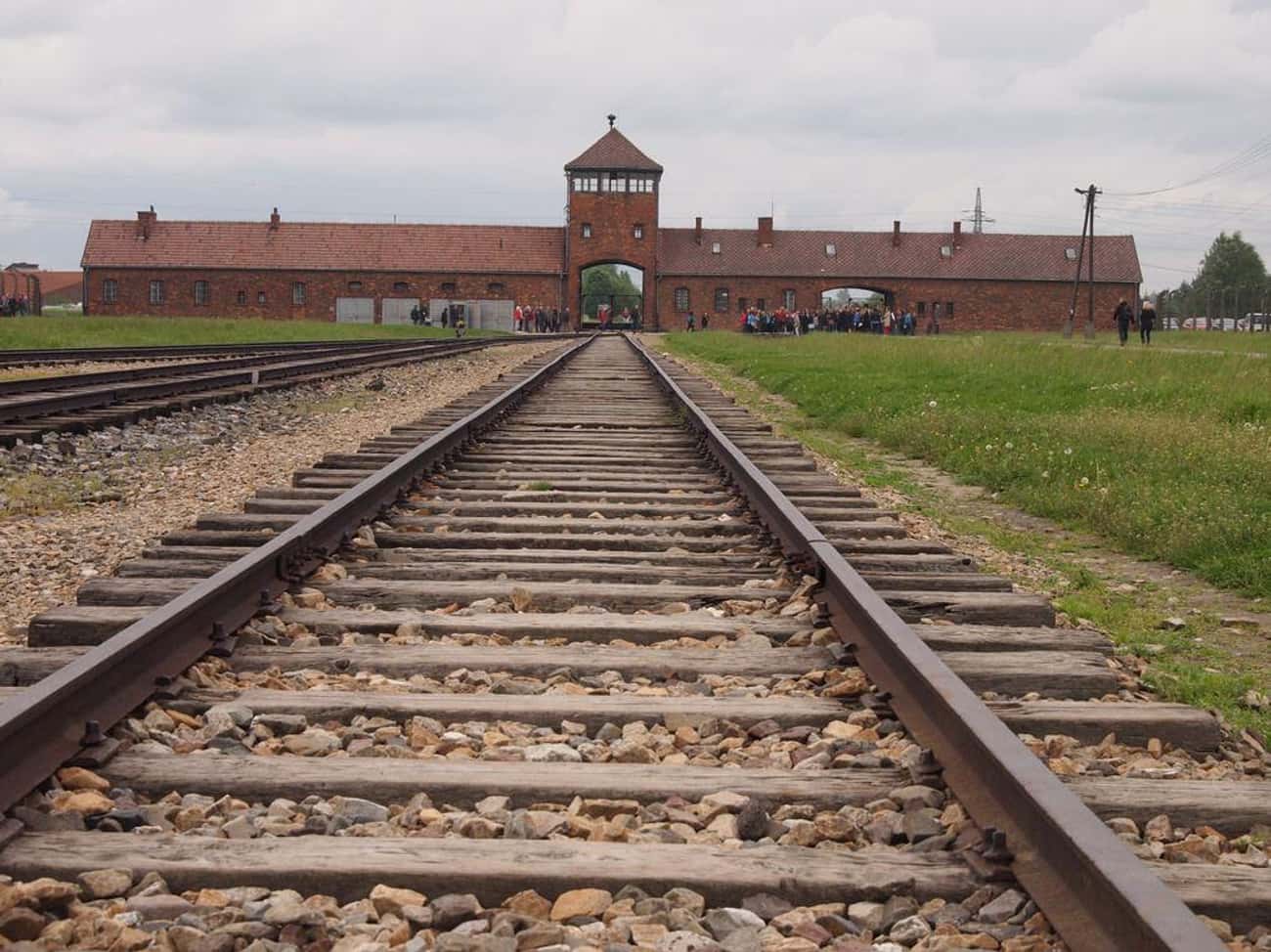 The Four-Day Train Ride To Auschwitz, During Which 80 People Rode In Each Cattle Car