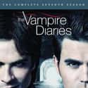 The Vampire Diaries - Season 7 on Random Best Seasons of 'The Vampire Diaries'