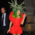 Lady Gaga's Got Christmas Spirit on Random Weirdest Christmas Hairdos