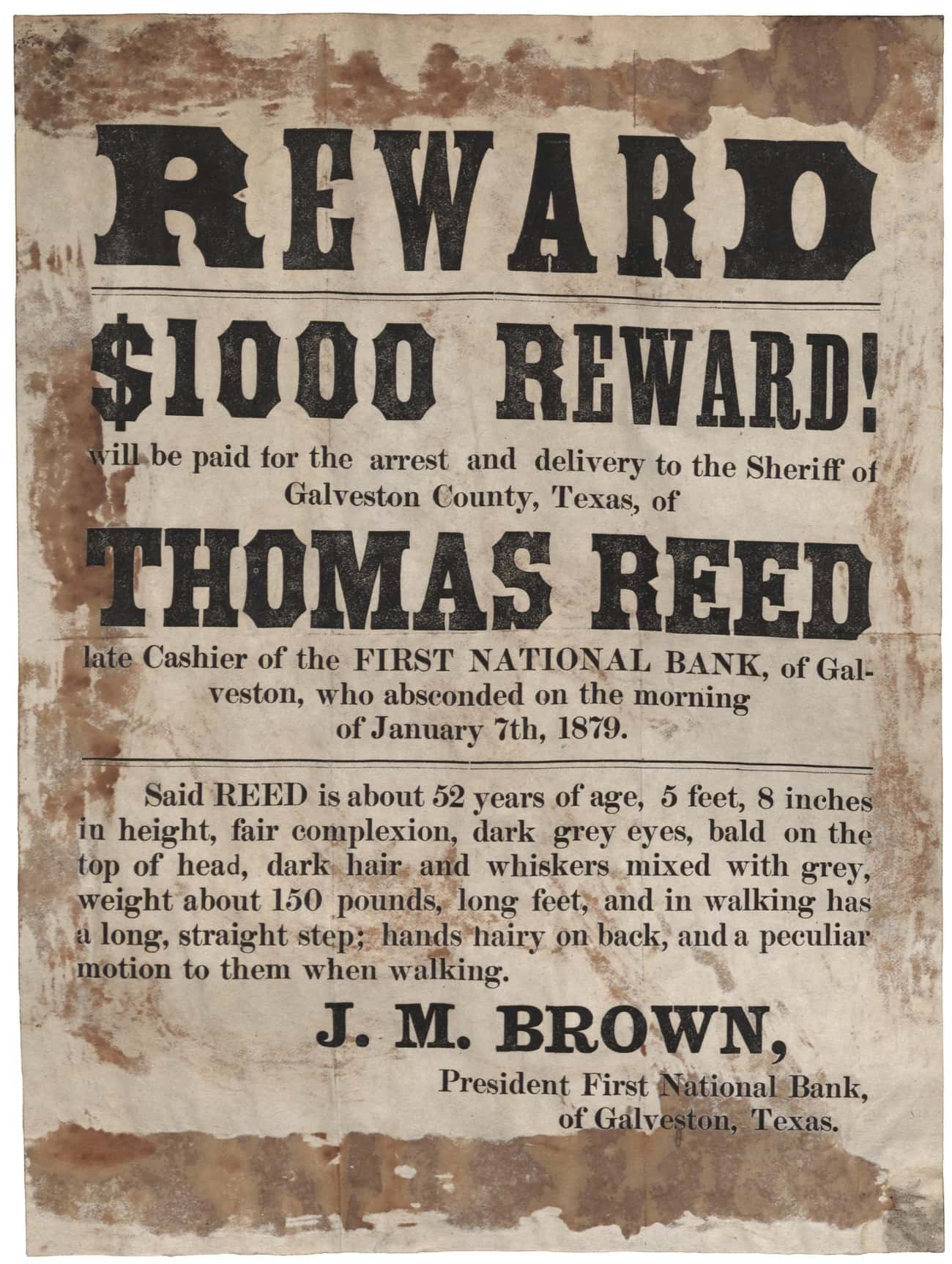Reward. $1000 Reward! (1879)