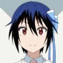 Seishirou Tsugumi on Random Best Anime Characters With Blue Hair