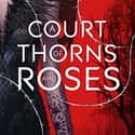 A Court of Thorns and Roses on Random Young Adult Novels That Should Be Adapted to Film
