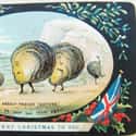 'Absent Friends' on Random Bizarre and Disturbing Victorian Christmas Cards