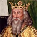 Henry I Died After Going Against His Doctor's Orders And Feasting On Eels on Random Stupidest, Least Dignified Ways Royals Have Died