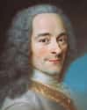 He Was So Popular, He Was Literally Crowned For It on Random Fun Facts About Voltaire, Jon Stewart of 18th Century France