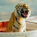 Richard Parker on Random Greatest Tiger Characters