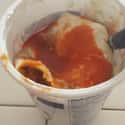 A Burrito Drowned in This Much Salsa and Sour Cream on Random Disgusting-Looking Foods You Kind of Want to Try