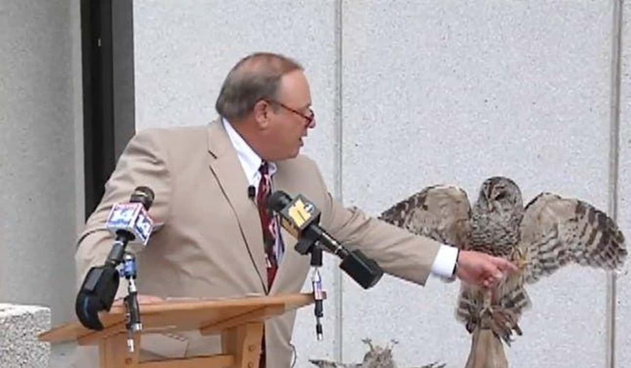 Michael Peterson Believes An Owl Killed His Wife