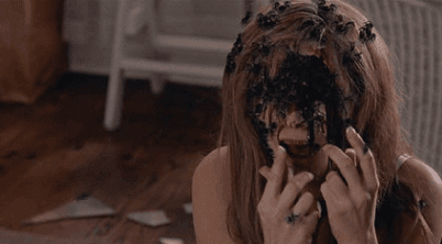 The Beehive Is an Urban Legend Propagated by Big Shampoo