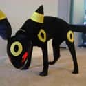 Umbreon with a Terrier Inside on Random Adorable Pets Cleverly Dressed as Pokemon