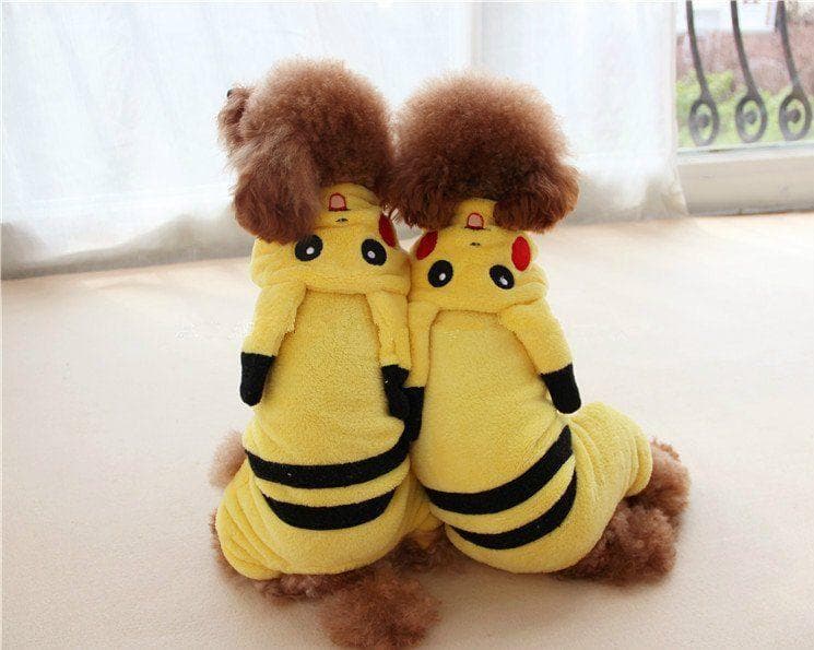 A Pair of Pikachus on Random Adorable Pets Cleverly Dressed as Pokemon