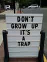 Wise Words From Admiral Ackbar on Random Reminders That Growing Up Sucks
