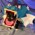 But Gyarados Is a Water Species... on Random Adorable Pets Cleverly Dressed as Pokemon