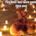 Oh Deer on Random Memes That Every Painfully Single Person Can Relate To