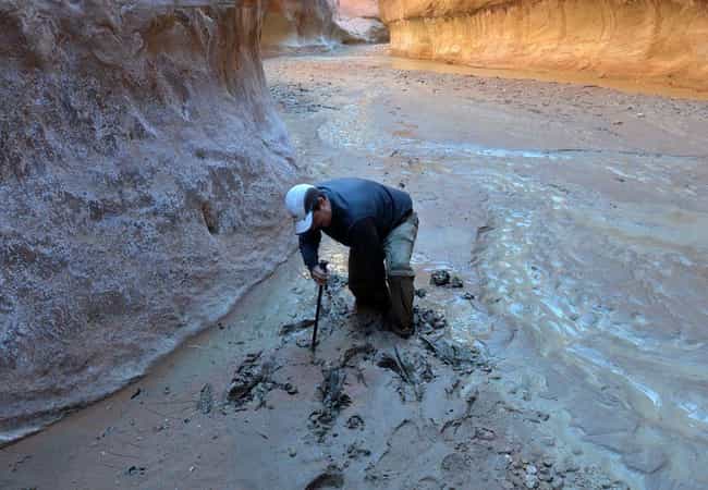 What It S Like To Die From Being Sucked Into Quicksand