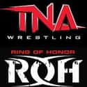 He Wrestled in TNA and ROH on Random Things You Should Know About Tye Dilling