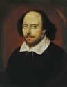 She Was The Real William Shakespeare on Random Thought-Provoking Historical Conspiracy Theories About Queen Elizabeth I