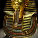 King Tut's Curse Strikes Again on Random Disturbing Instances Where Ancient Egyptian Curses Seemed To Come True