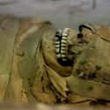 These Mummies Double As Ghosts on Random Disturbing Instances Where Ancient Egyptian Curses Seemed To Come True