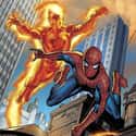 Spider-Man And The Human Torch on Random Most Beautiful Bromances In Comic Book History