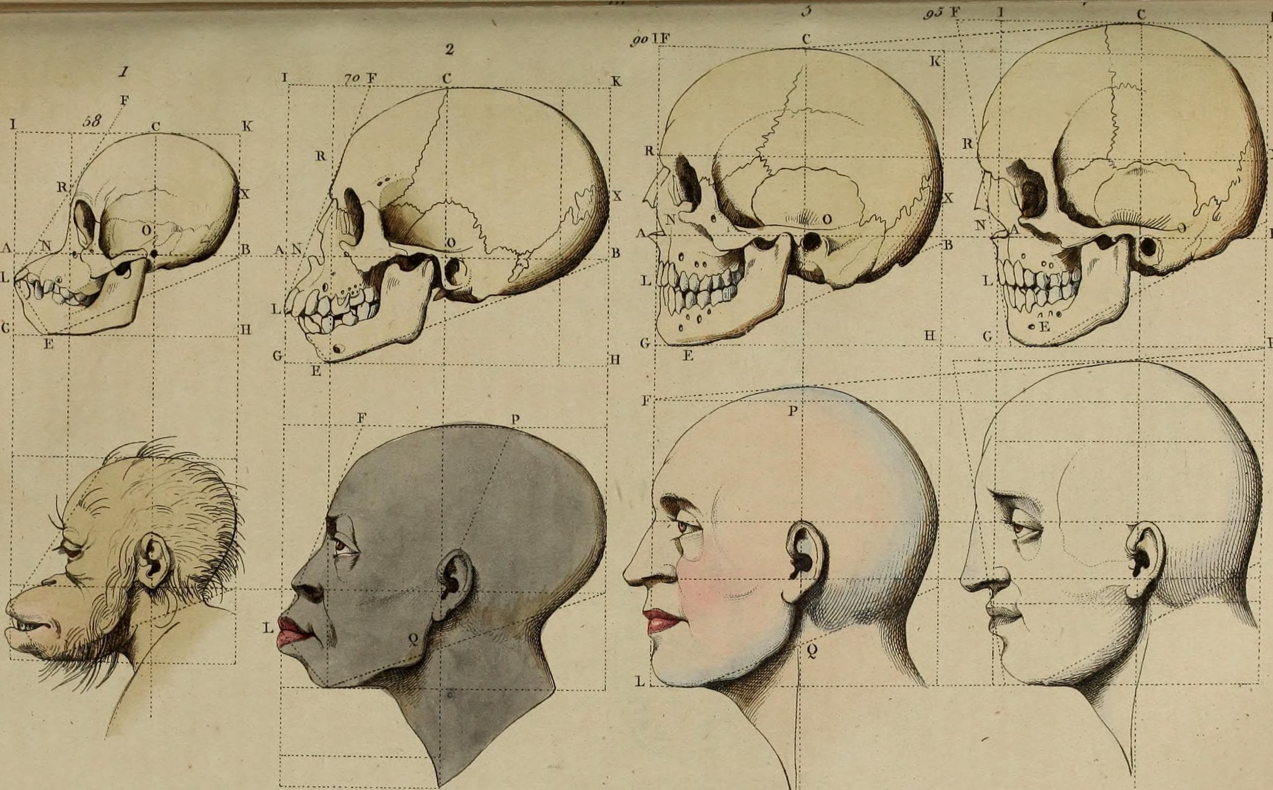 Image result for 19 century racism