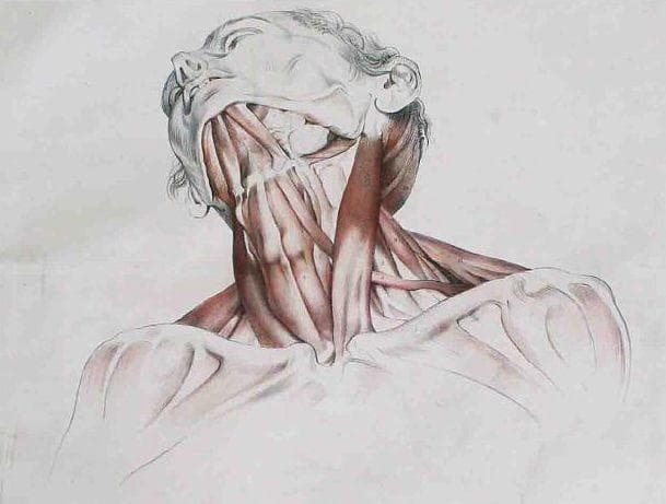 What It's Like To Be Skinned Alive