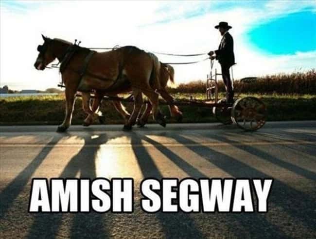 12 Funny Amish Photos of Buggies and More