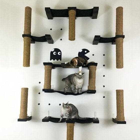 22 Nerdy Animal Habitats Built by Dorky Pet-Owners
