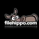 Filehippo News on Random Top Tech News Sites