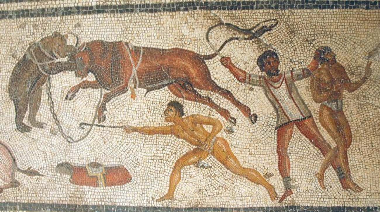 Thousands Of Animals And Gladiators Perished In Games