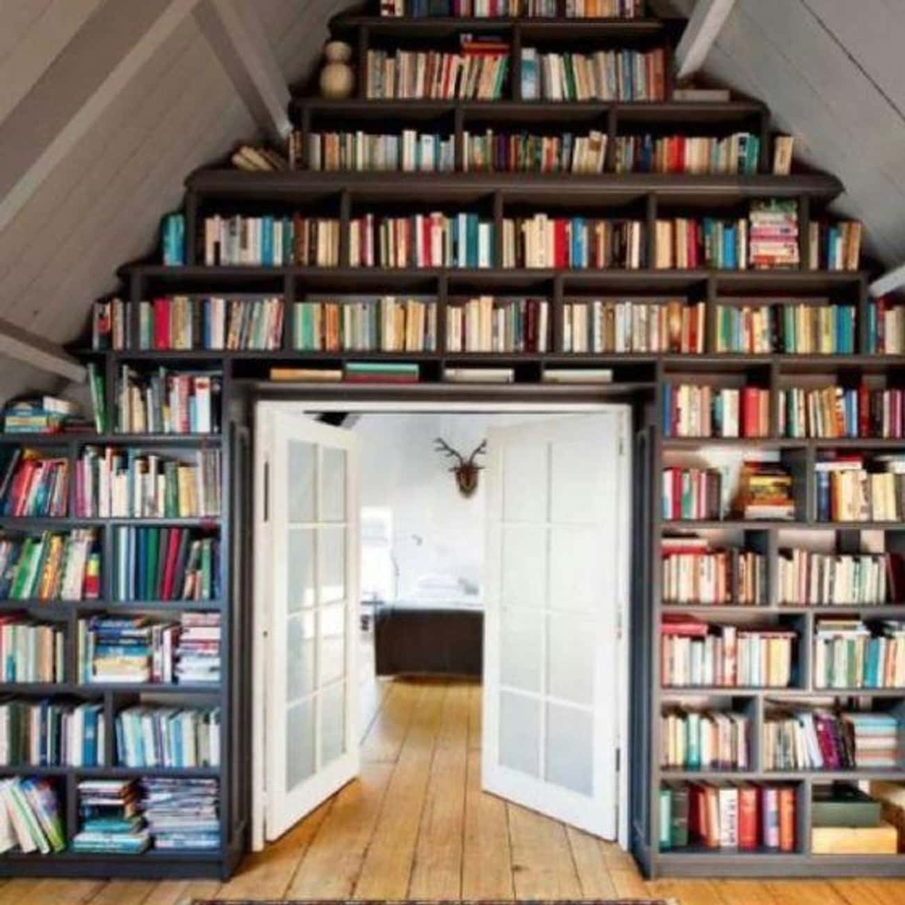 Screw It, Just Fill The Walls With Books