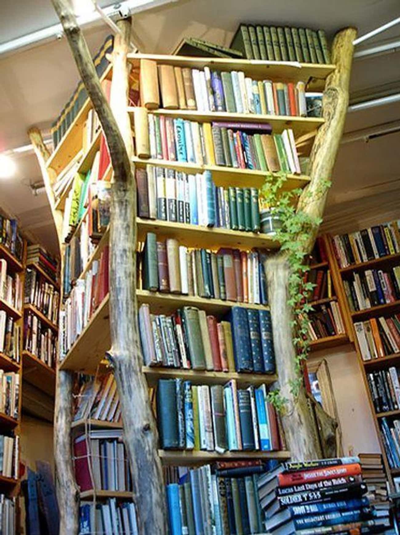 Library tree. Стеллаж дерево в библиотеке. Книжные полки для детскую библиотеку. Библиотечные полки старые. Арт стеллаж дерево в библиотеке.