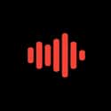 Soundhost.org on Random Top Music Social Networks