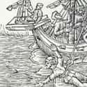 Keelhauling Used Barnacles To Pull The Skin From A Body on Random Historical Torture Methods Designed To Make The Pain Last As Long As Possible