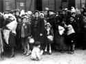 Hungarian Jews Arriving At Auschwitz on Random Haunting Pictures From Concentration Camps