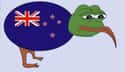 New Zealand Let's The Internet Redesign Their Flag on Random Hilarious Trolls Hijacked An Online Poll