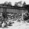 Looted Items Being Sorted At Auschwitz on Random Haunting Pictures From Concentration Camps