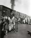 Arrival Of The Treblinka Transport on Random Haunting Pictures From Concentration Camps