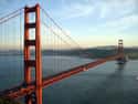 Teen Survived Suicide Leap From Golden Gate Bridge on Random People Who Fell from Ridiculously High Heights, But Managed To Survive