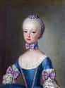 She Got Married At The Painfully Young Age Of 14 on Random Facts That Prove Marie Antoinette Remains An Extremely Controversial Figure