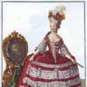 She Was A Fashionable Trendsetter on Random Facts That Prove Marie Antoinette Remains An Extremely Controversial Figure
