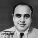 Al Capone Accidentally Shot Himself In The Groin on Random Utterly Bizarre Facts About Famous Gangsters