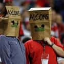 The Official Hat Of Falcons Fans Everywhere on Random Memes To Stoke Your Burning Hatred For Atlanta Falcons