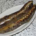 Did Lamprey Meat Kill King Henry I? on Random Disgusting Facts About Sea Lampreys, Killer Parasite Fish With 100 Teeth
