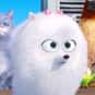 Gidget is listed (or ranked) 46 on the list The Greatest Dog Characters of All Time