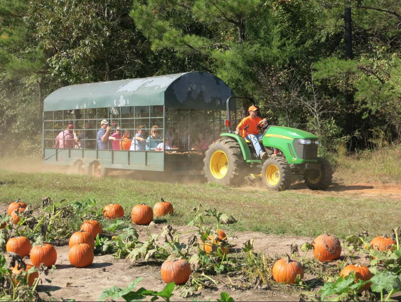 A Haunted Hayride Led To Vehicular Homicide