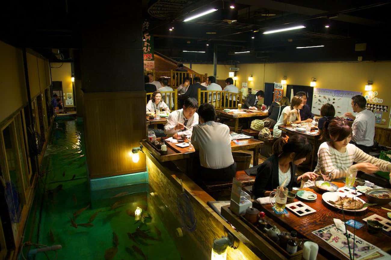Future dinner. Zauo ресторан. Кафе в Токио Япония. Японский ресторан в Токио. Японская забегаловка в Токио.